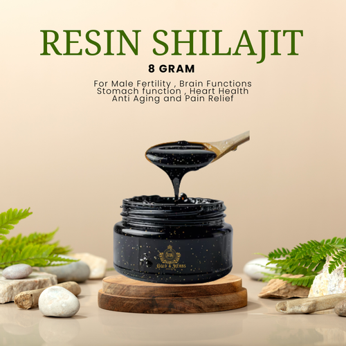 Shilajit Small Box (8gm)