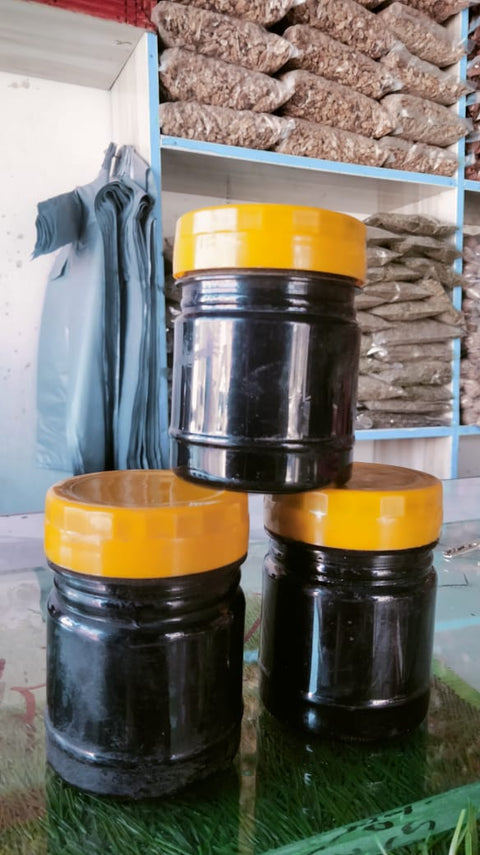 Shilajit Resin 24g - Gilgit-Baltistan Gold & Herbs